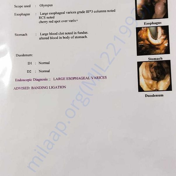 Medical Report