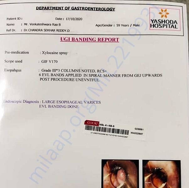 Medical Report