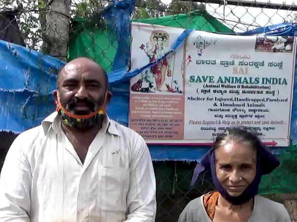 Please Help This Old Couples To Save As Much As Animals As Possible