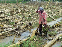 Help our Farmers!!!