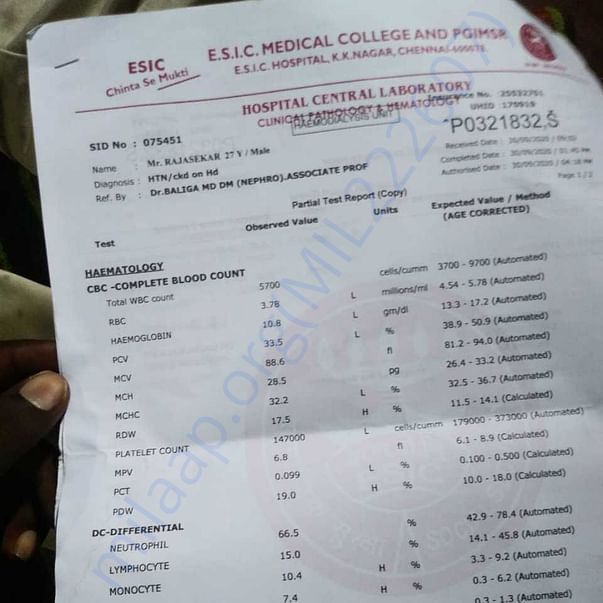 Medical Report