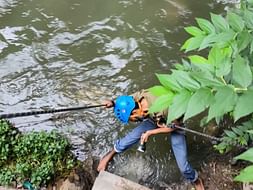 Help to save animals during floods