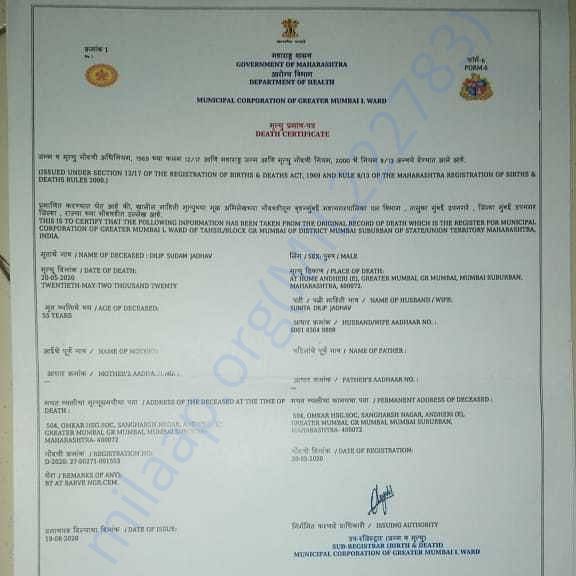 Medical Report