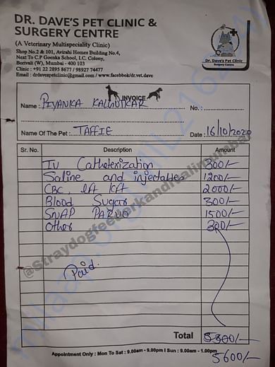 Vet's Bill