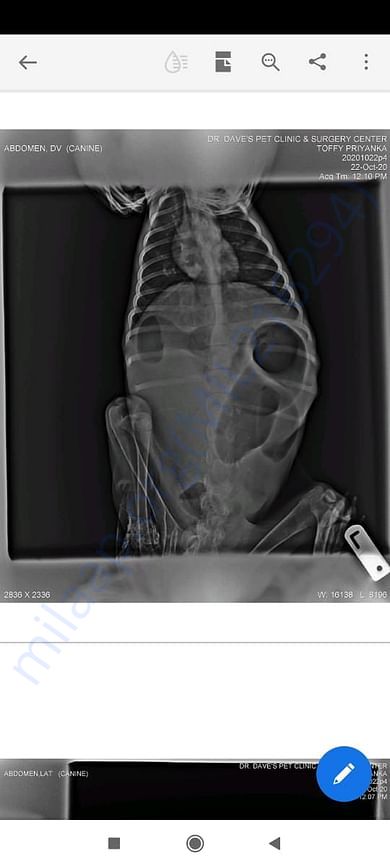 Xray Reports