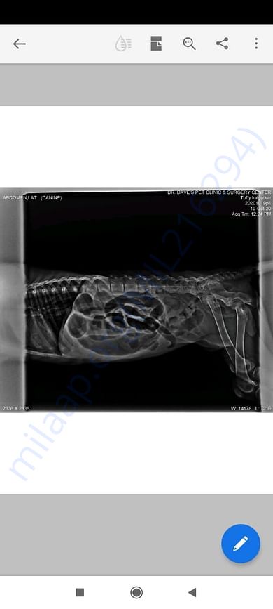 Xray Reports
