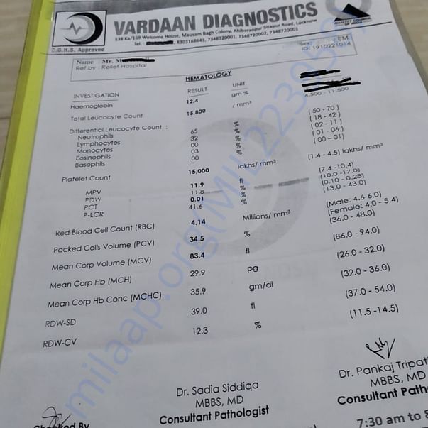 Medical Report