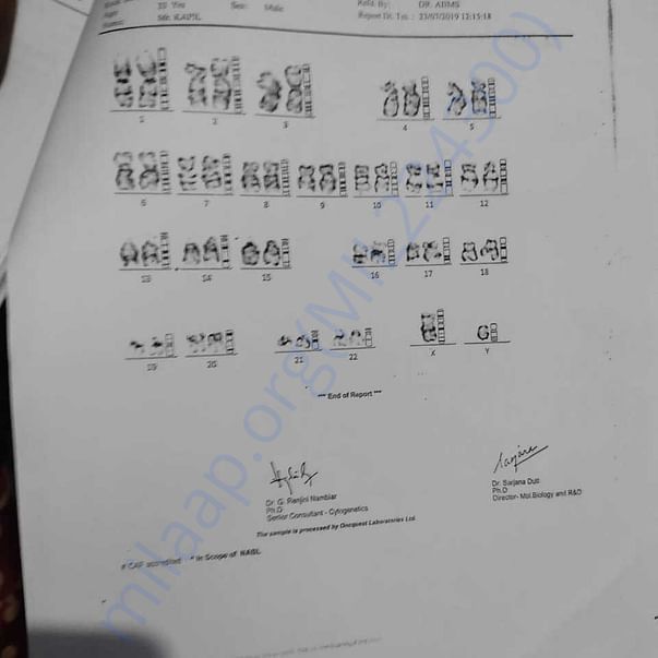Medical Report