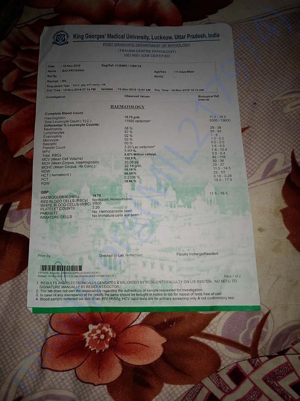 Document 4