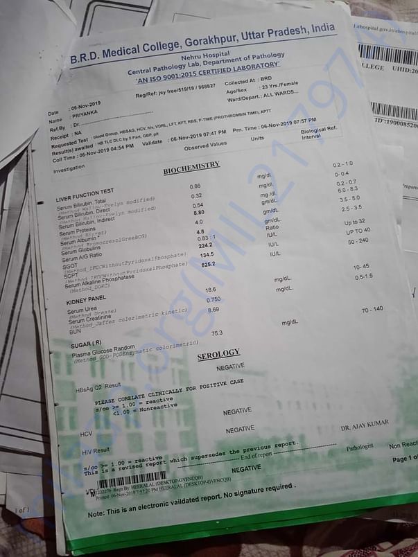 Document 5