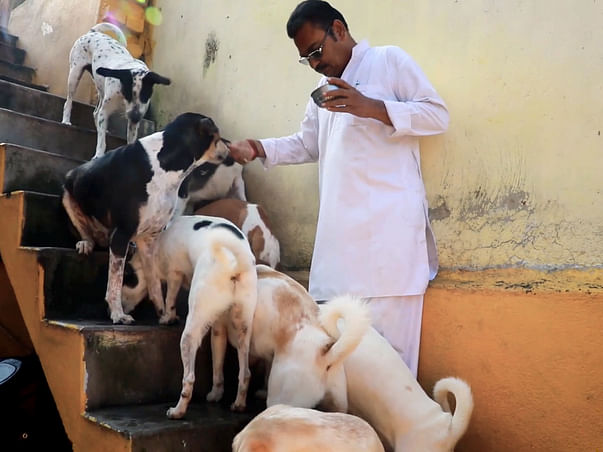 Priest Takes Care Of Dogs Even As The Pandemic Rendered Him Jobless