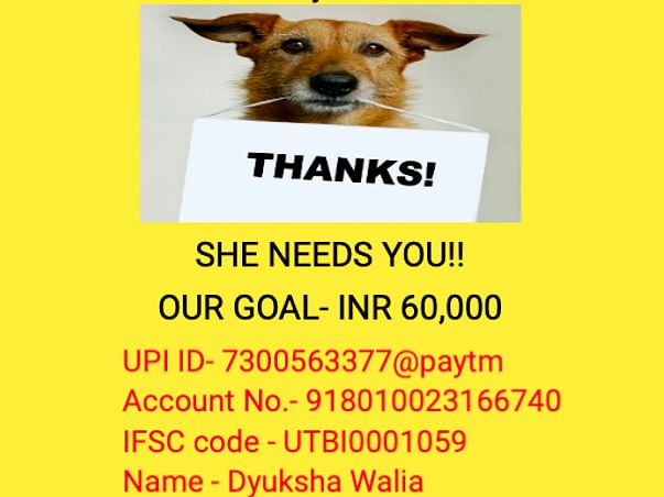 HELP ME RAISE FUNDS FOR MY DOG'S SURGERY