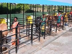Support First Transgender Run Cooperative Society in Sandeep Nagar, TN
