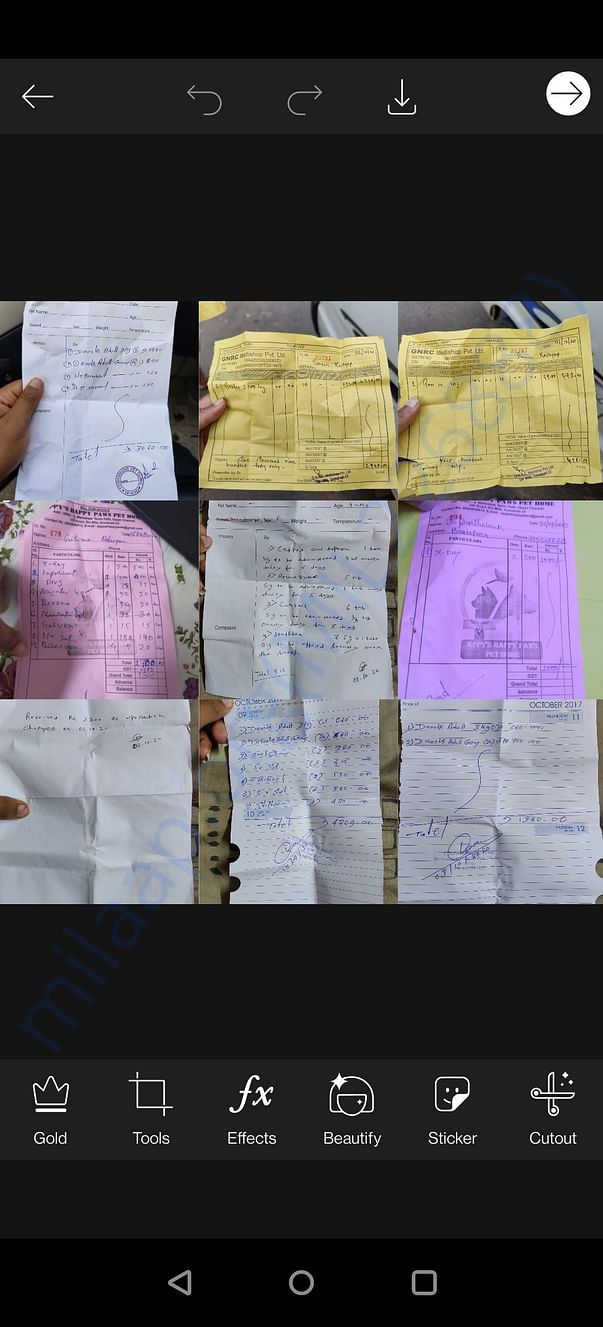 These are the various bills