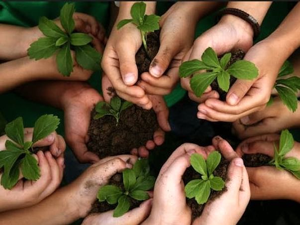 Plantation Drive