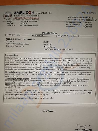 Test report