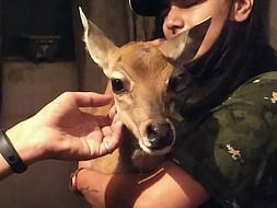 Help Wildlife to Survive.