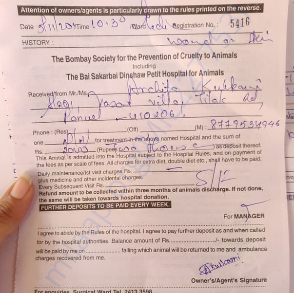 Admission letter