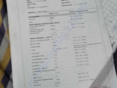 lab test