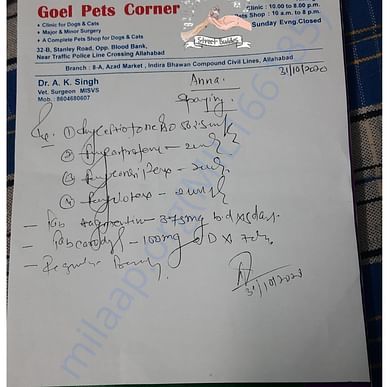 Medical Bill