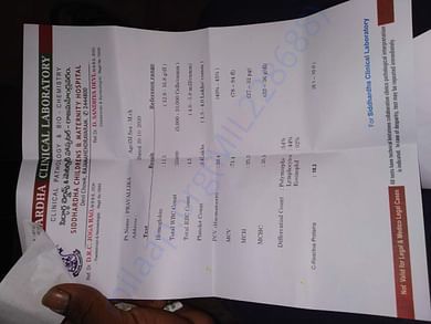 Document1