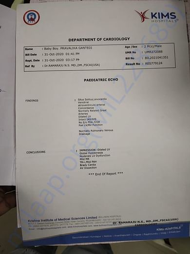 Document3