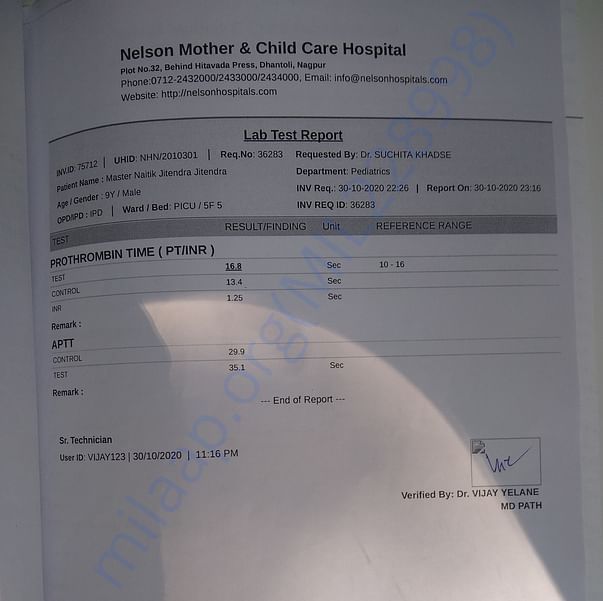 Medical Report