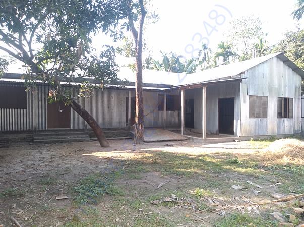 Shed to start work