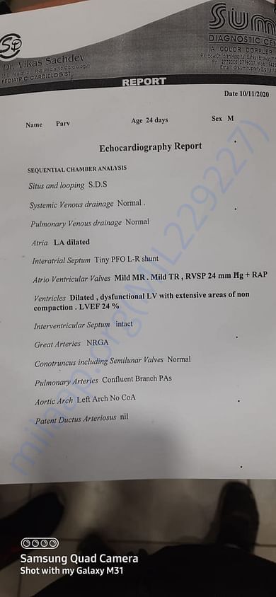 Cardio Report