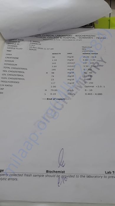 Blood Report