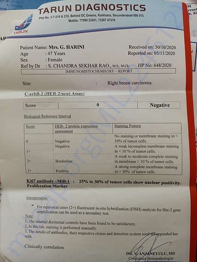Document1