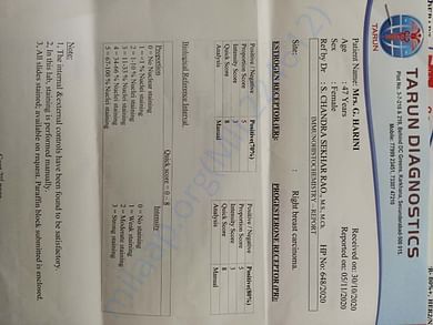 Document2