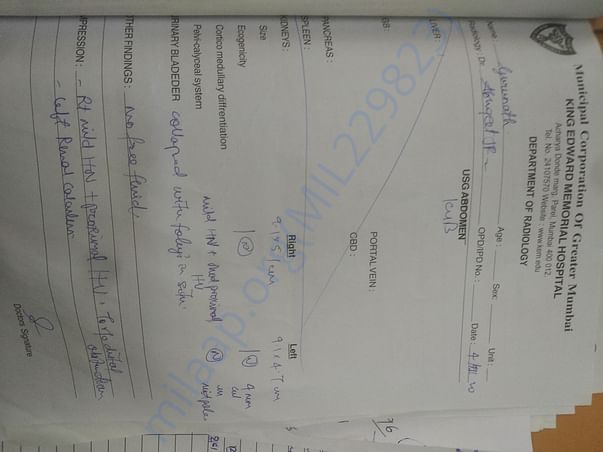 Sonography report