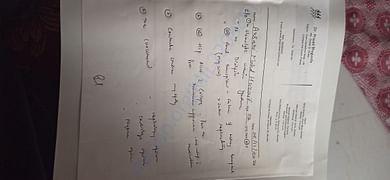 Orthopaedic doctors notes