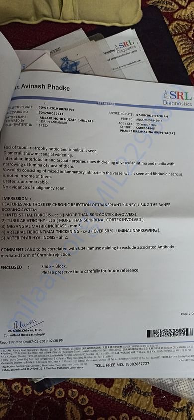 Histopathology report after nephrectomy