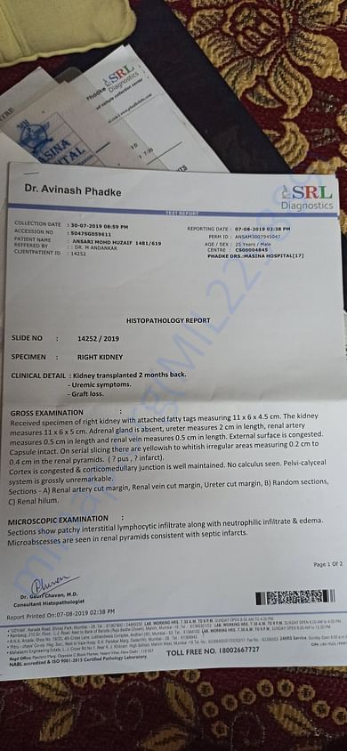 Histopathology report after nephrectomy