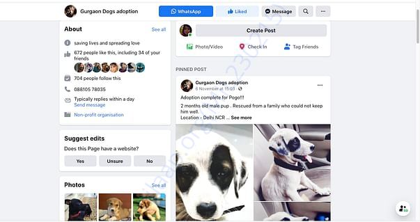 SOCIAL MEDIA HANDLE