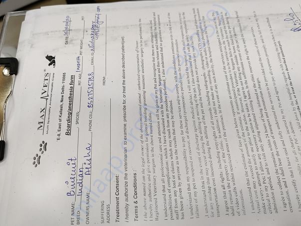 Admit letter