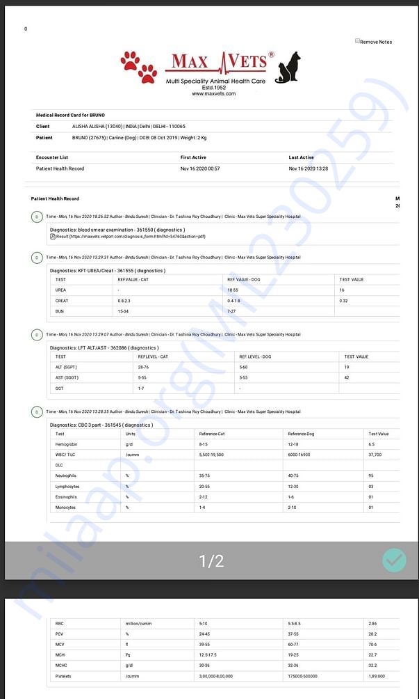 Bruno MRI REPORT