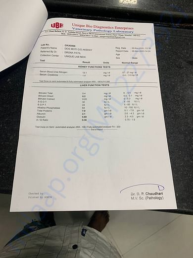 Document1
