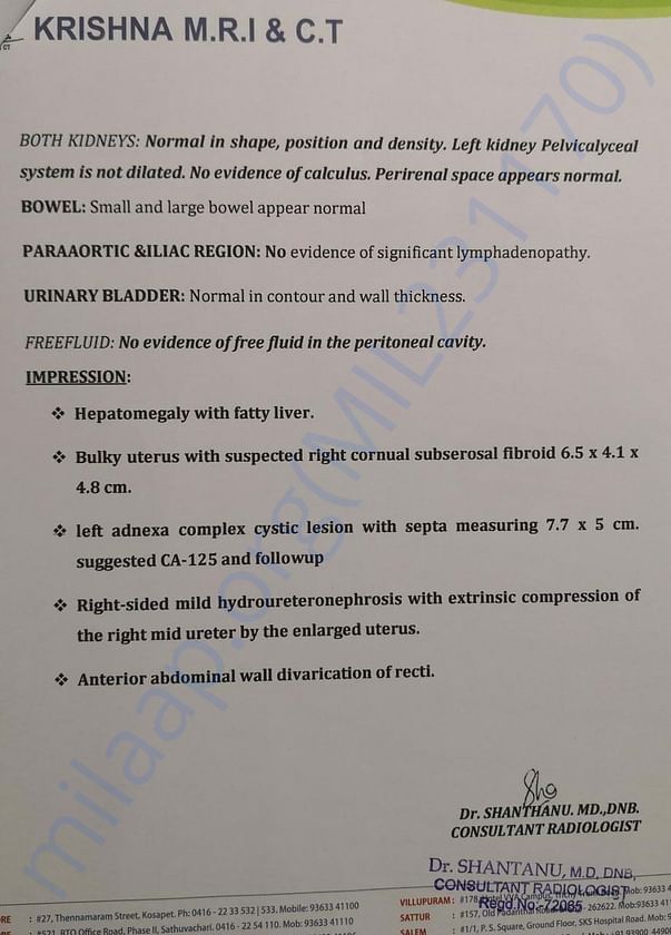 scan report
