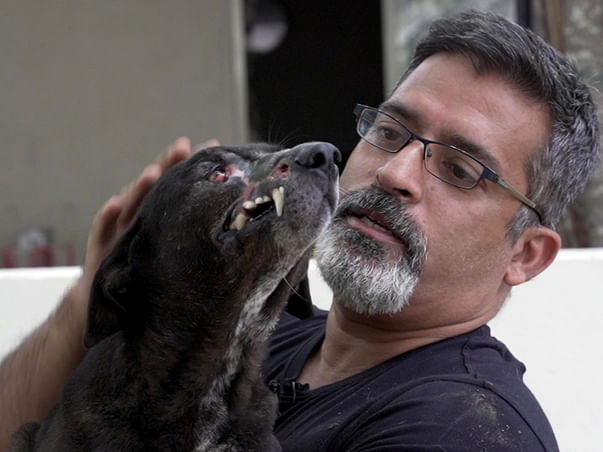 Special Needs Rescued Dogs Are Desperately Looking for Your Help