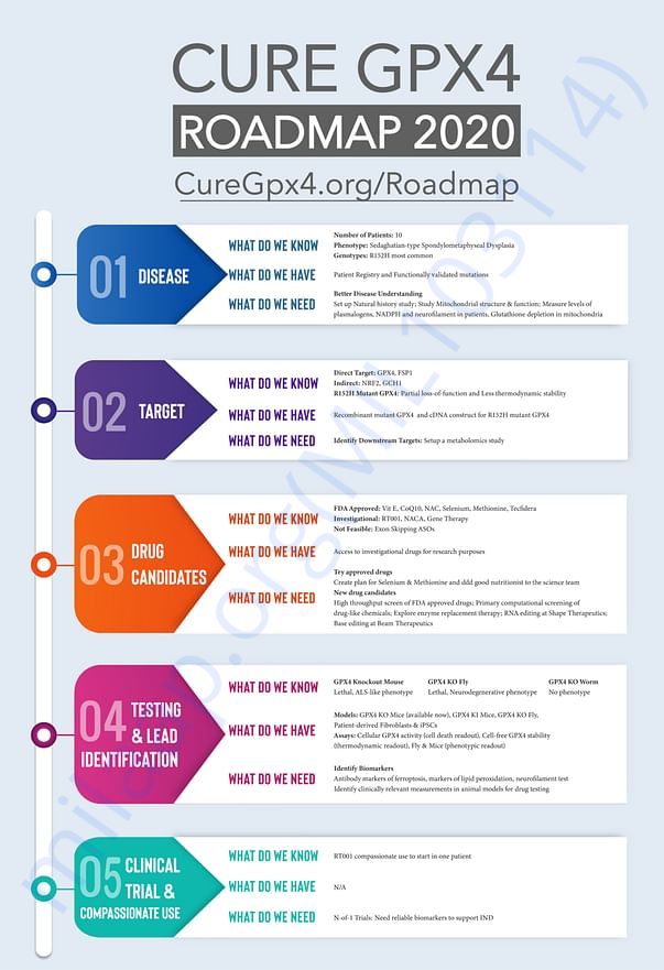 Research Roadmap to cure Raghav