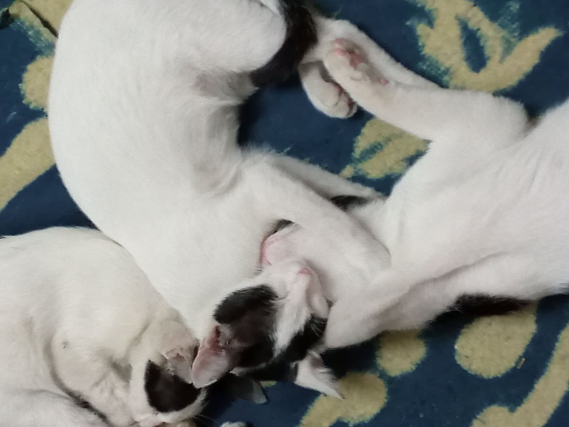 My cutest baby.