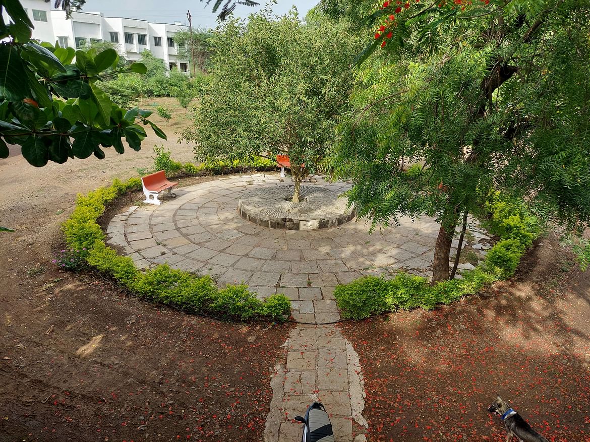 Phoenix circle