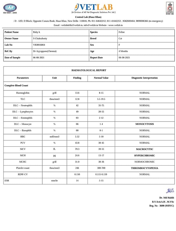 Baby K's Blood Report