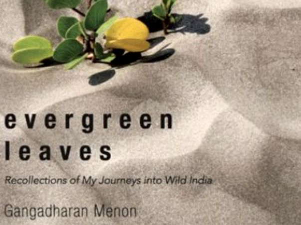 Through my book, Evergreen Leaves - experience the years of my travelling in the wild.