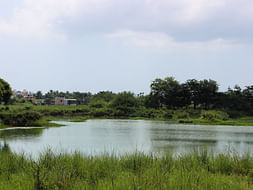Fundraising to restore the Perumbakkam lake in Chennai. Join us to clean this lake - every support matters!