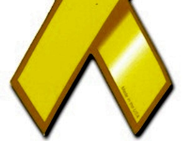 I am fundraising for Anjana's Blood Cancer Treatment
