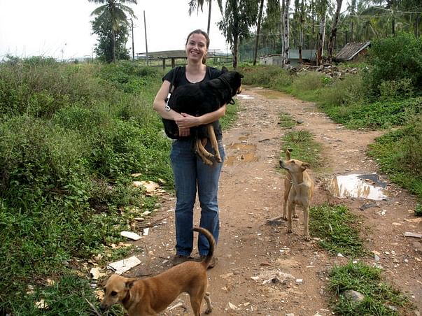 I am fundraising to help keep stray dogs fed and safe